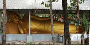 Wat Pha Don Phu lm Wald