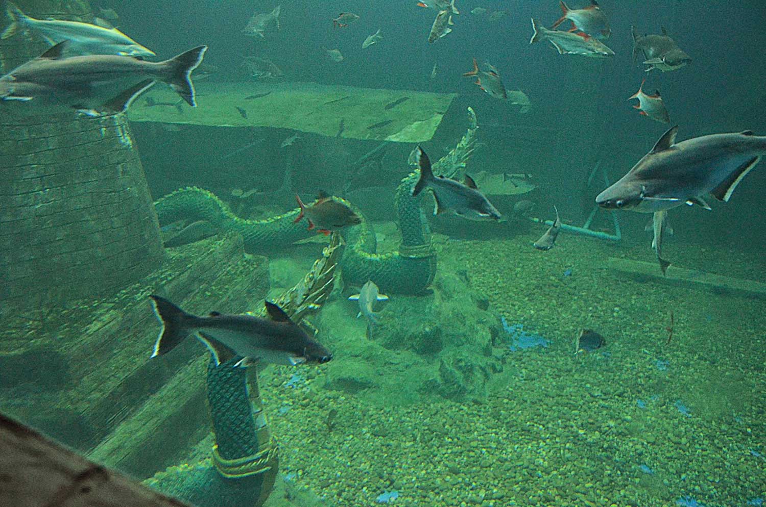 Aquarium Nong Khai
